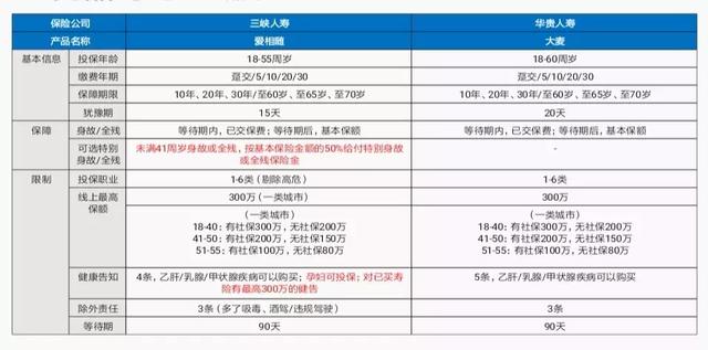 泰康爱相随定期寿险，泰康爱相随定期寿险怎么样（高性价比的定期寿险爱相随、大麦、大白智能、擎天柱2号）