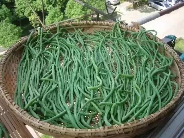 怀集县特产介绍，怀集的干货特产