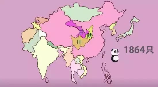 小熊猫和大熊猫，小熊猫是幼年的大熊猫吗（“小熊猫”不是小熊猫）
