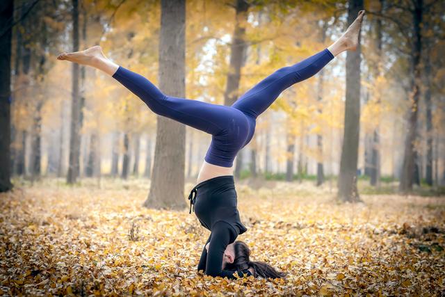 郯城银杏林在哪，郯城银杏林在哪个村（遇见2020年最后一抹秋色）