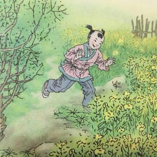 杨万里简介,杨万里最著名的40首古诗(杨万里:南宋最伟大的诗人)