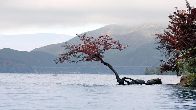 泸沽湖海拔高度多少米，泸沽湖海拔多高（穿越时空的浪漫邂逅）