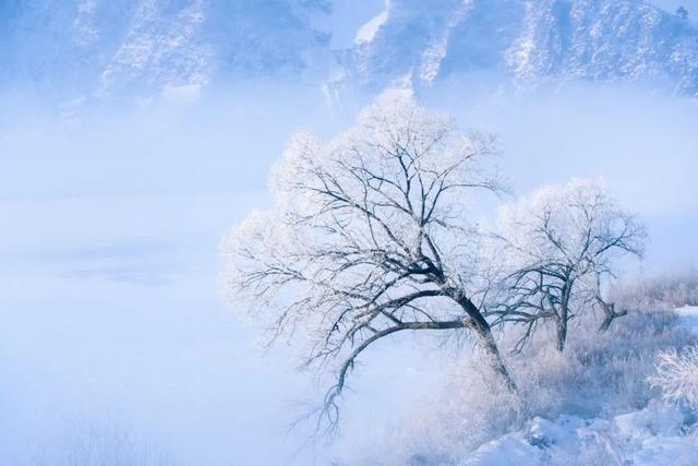 北风吹雁雪纷纷,北风吹雁雪纷纷的意思(雪诗配雪景,与您尽赏冬雪之美)