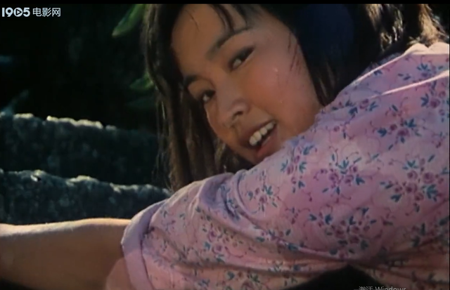 童年第三章主要内容，童年第三章主要内容概括10字（《小花》原著《桐柏英雄》的故事梗概）