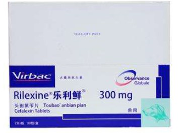 哪些消炎药可以给狗吃，可以给狗吃的消炎药有哪些（一些宠物常见的消炎药）