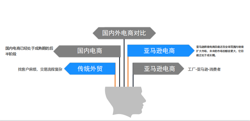 亚马逊在哪里(亚马逊河的致命生物)