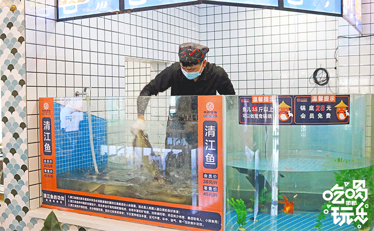 合肥齐祺渔锅地址，齐祺渔锅官网地址（邯郸这家专门吃鱼的店）