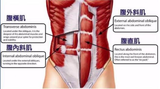 练腹肌最佳的6个动作，锻炼腹肌6个最佳动作图解（6个动作多角度刺激腹部）