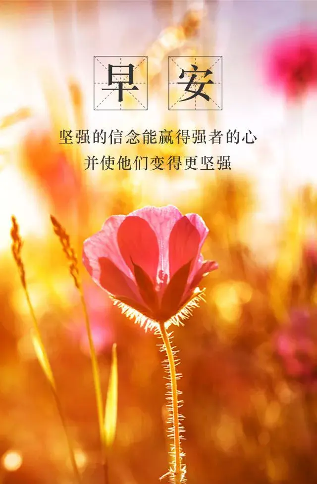 什么的浪花，什么样的浪花（平静的湖面只有呆板的倒影）