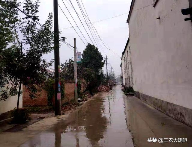 小麦什么时候播种，小麦什么时候播种最好（小麦该播种了，播期要推迟吗）