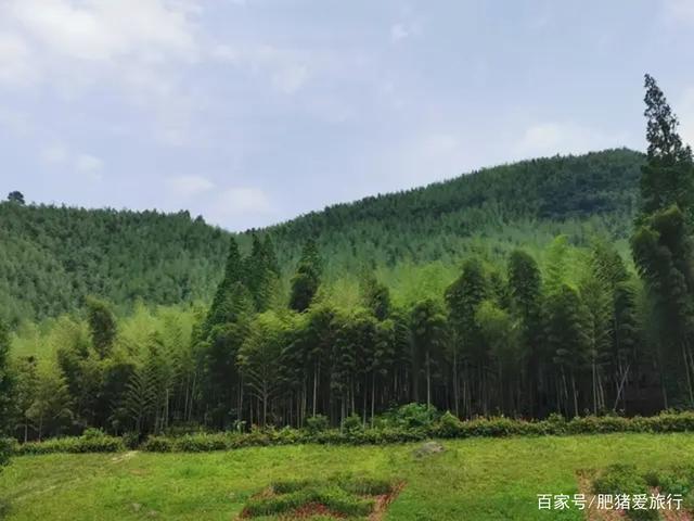 中国有几个竹海哪个更出名，中国哪个竹海最美（如今是不是还值得一去呢）