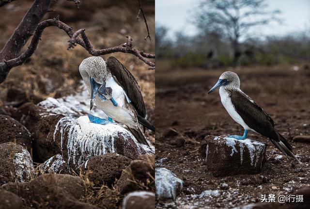 厄瓜多尔在哪里，厄尔多瓜具体在哪里（走进厄瓜多尔——世界上唯一以“赤道”命名的国家）