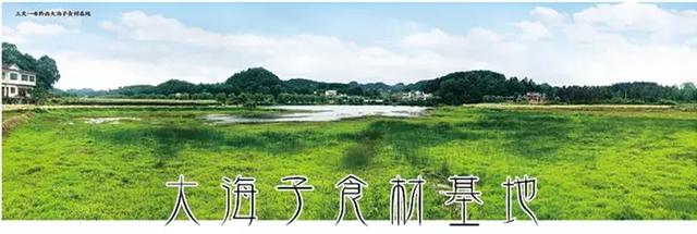 豆豉火锅怎么做,火锅底料怎么用豆豉(花花探店丨这家一年卖出14000锅) 豆豉火锅怎么做,火锅底料怎么用豆豉(花花探店丨这家一年卖出14000锅)