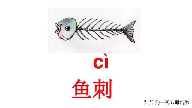 音序是什么?音节又是什么，音序是什么（小学汉语拼音——整体认读音节）