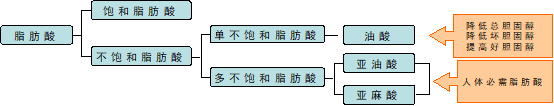 榛子仁的功效与作用，营养学专家张炳文