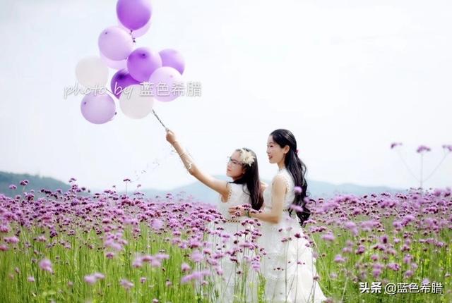气球怎么飘起来，怎么让气球飞起来（拍出唯美清新夏天美照片）