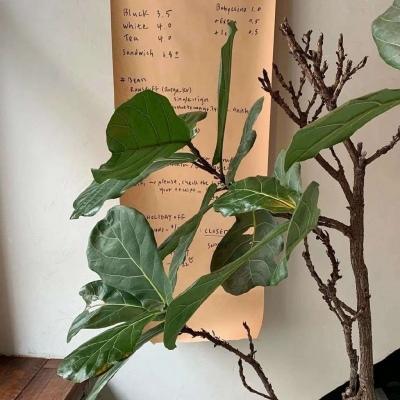 领悟人生的微信名，领悟人生的微信名四个字330个（佛系看淡一切的微信名气驱除负能量-可爱点）