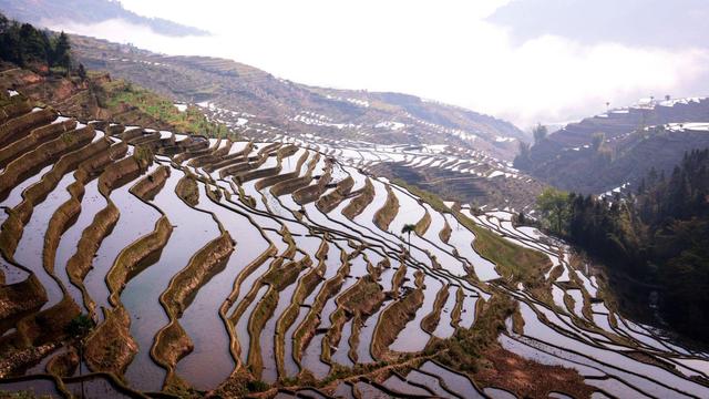 昆明的海拔高度是多少，昆明海拔高度是多少米（记住这两点就能得满分）