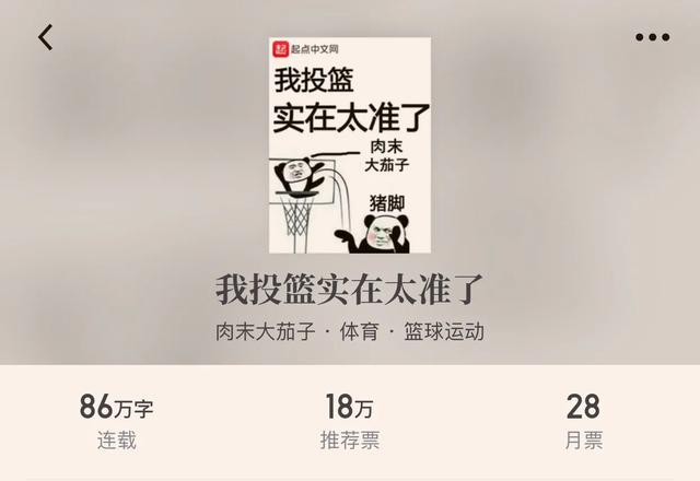 好看的篮球小说写中锋的，好看的篮球后卫小说（“八本体育篮球小说”带着热血的球场）