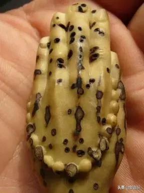 象牙果盘玩后效果图，象牙果是什么（这些小众配饰，太过瘾了）