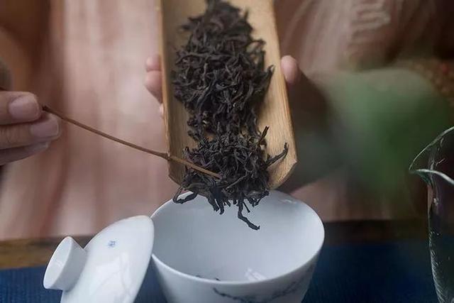 单枞茶属于什么茶，单丛是什么茶（凤凰单丛还是凤凰单枞）