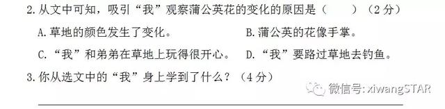 abb式的颜色词语，abb颜色的词语有哪些（部编版三年级语文上册期末复习附模拟卷）