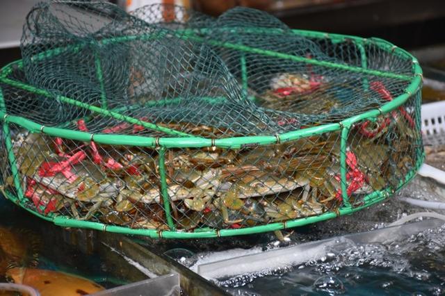 广东阳江海陵岛，阳江海陵岛旅游攻略（海陵岛四大海滩吃、住、游、玩攻略）