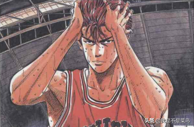 灌篮高手人物介绍，灌篮高手人物解析大全（《灌篮高手》中的八大型男）