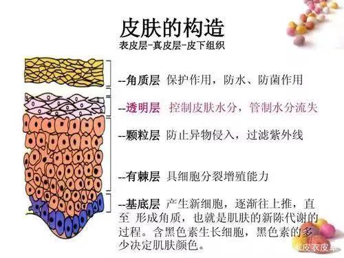 怎么保养脸部皮肤，怎么才能美白脸部皮肤（带你了解不同皮肤的护理步骤）