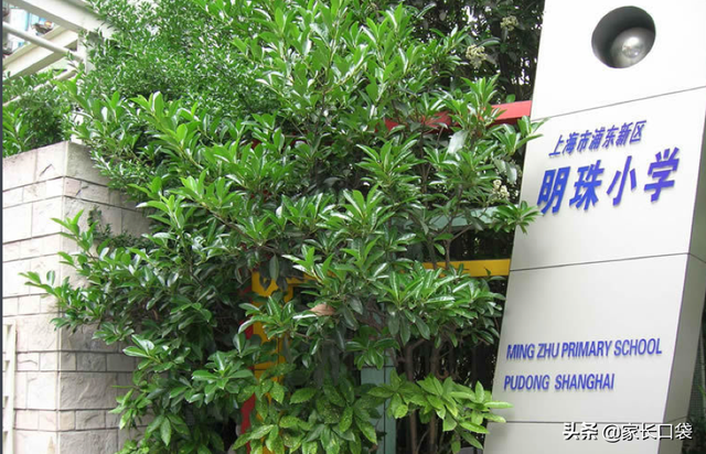 上海市小学排名，上海小学上海静安区重点小学排名（沪上最“鸡血”10所小学大揭秘）