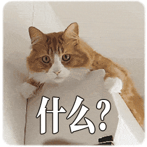 猫一天吃多少猫粮，成年猫一天吃多少猫粮（猫一顿饭要吃多少才够营养）