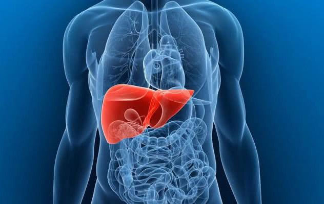 慢性肝炎能活几年，慢性乙肝（生命杀手之慢性乙型肝炎）