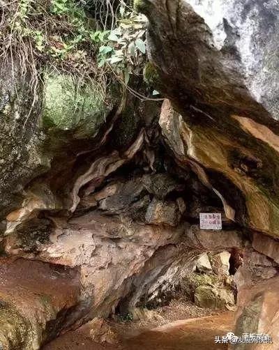 云南普者黑旅游攻略，云南省普者黑风景区旅游攻略（一处鲜为人知的神秘旅游景点——普者黑攻略）