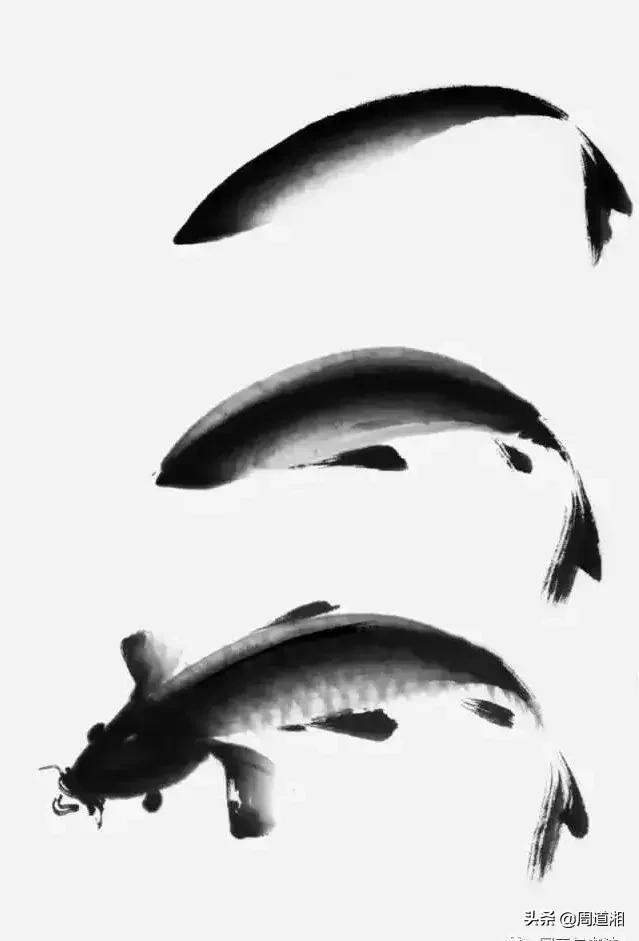 金鱼画法步骤图解,国画写意鲤鱼、金鱼的画法 金鱼画法步骤图解,国画写意鲤鱼、金鱼的画法