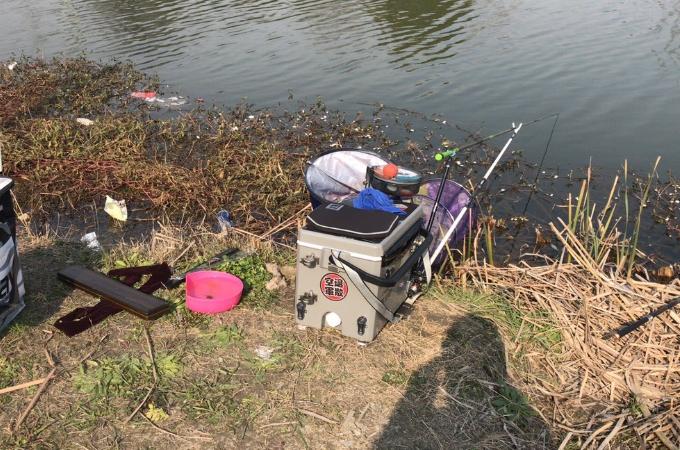 钓鲫鱼高手秘籍：实用狠招大公开，轻松上鱼不空军，新手老手都适用！