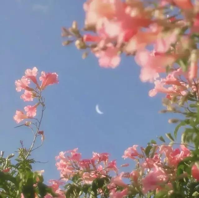 缠绵游戏歌词，缠绵游戏歌词英语翻译（今日推荐：桃白百《缠绵游戏》）