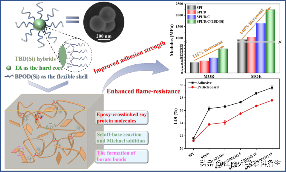江南大学校训是什么（近一个月以来）