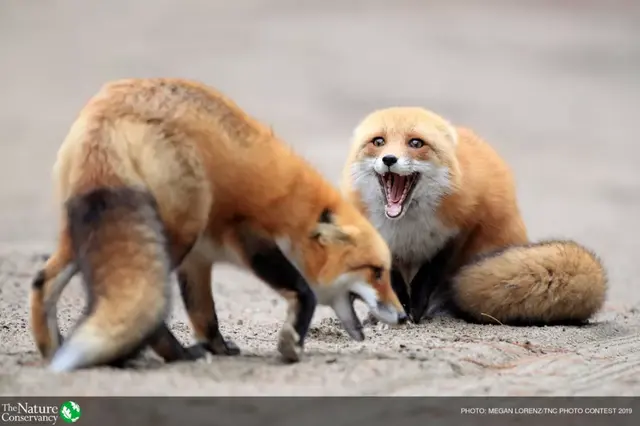 怦然心动美图，怦然心动最新图片（美图 ， 这一瞬间的怦然心动）