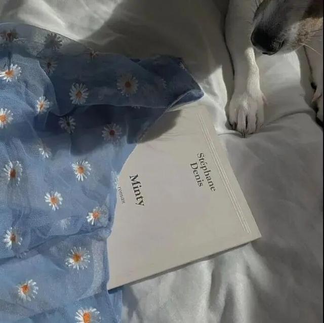 QQ背景图，qq背景图怎么设置（背景图分享<二>）