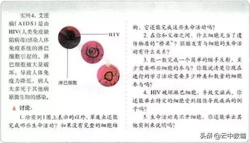 大肠杆菌菌落特征，大肠杆菌培养（一位高中生物老师分享对生物的理解）