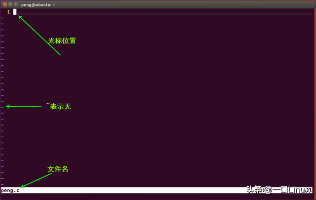 linux压缩命令，linux压缩命令gzip（Linux入门的基础知识点汇总）