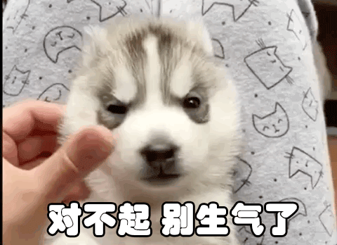 扎西德勒是什么意思，藏历年间扎西德勒是什么意思（这个语言，你能知道多少呢）