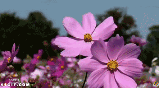 dmiscope，如何在windows7系统下修改主板DMI信息（TipScope显微相机）