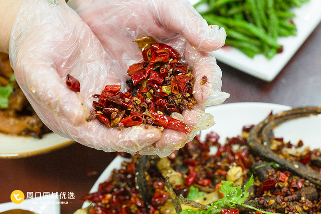 周口好吃的饭店，周口好吃的饭店在哪（周口人爱了十几年的康家饭店）