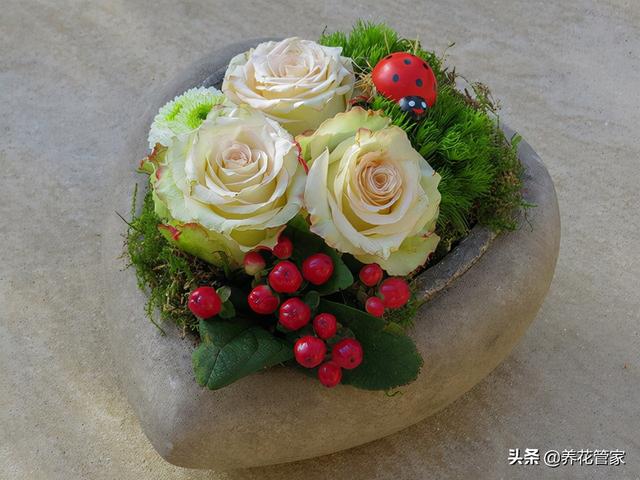 插花教程，学插花视频教学（插花入门的基本知识大全）