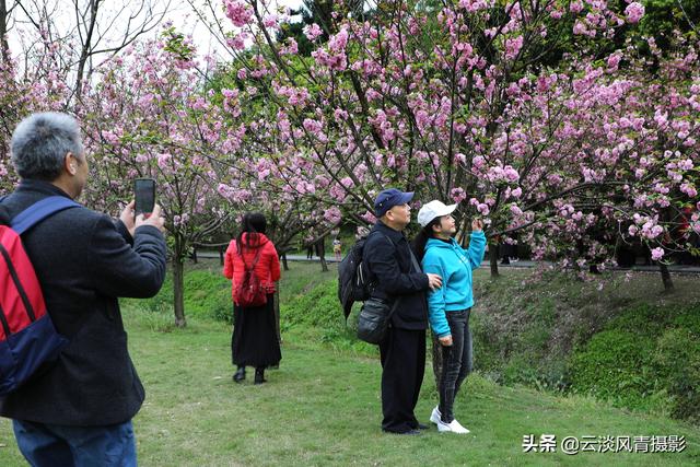 最简单能令人放松心情的图片 偶尔防空一下自己，让人心情放松的图片（醉倒在那片春色里）