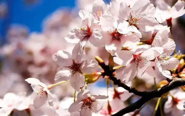 京郊度假村，北京度假村哪里好玩（10个京郊度假胜地，安利给你）