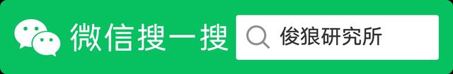 黑死病怎么消失的，中世纪黑死病是怎么消失的（跨越几世纪的黑死病）