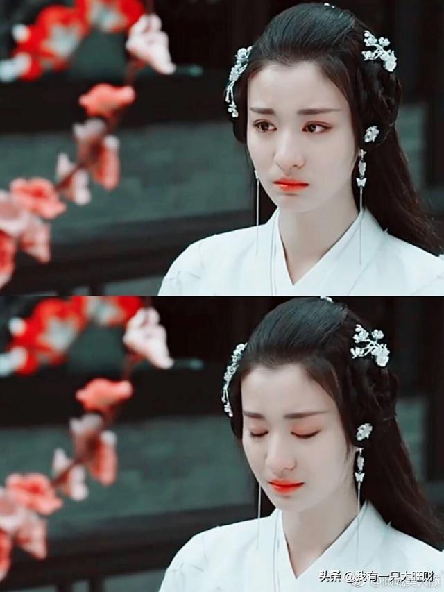 叶昭结局是死了吗，叶昭真的存在吗（那只天上翱翔的凤对阿昭情之所钟却爱而不得）