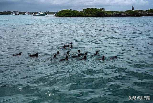 厄瓜多尔在哪里，厄尔多瓜具体在哪里（走进厄瓜多尔——世界上唯一以“赤道”命名的国家）